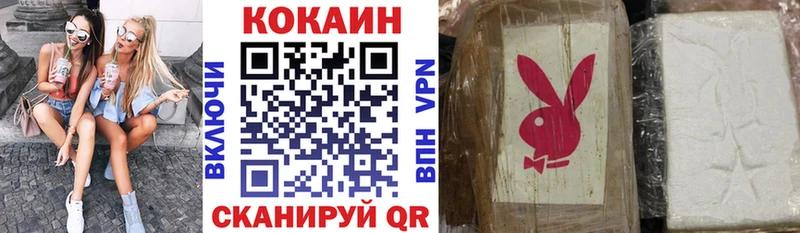 закладки  это клад  КОКАИН Эквадор  Новосокольники 