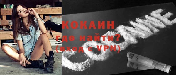 крисы Бронницы