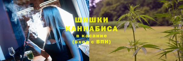 крисы Бронницы