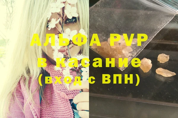 СК Бородино