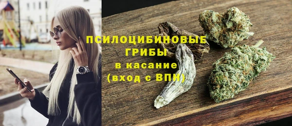 крисы Бронницы