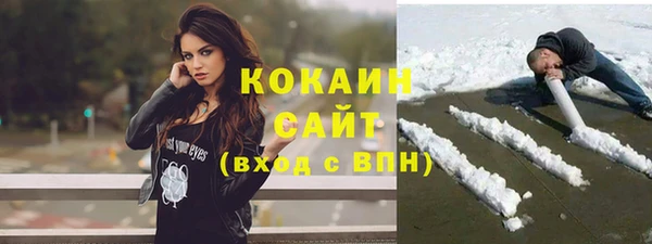 крисы Бронницы