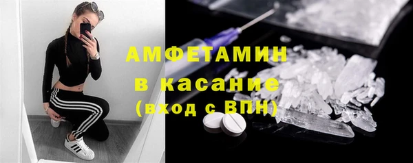 крисы Бронницы