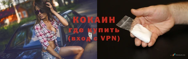 крисы Бронницы