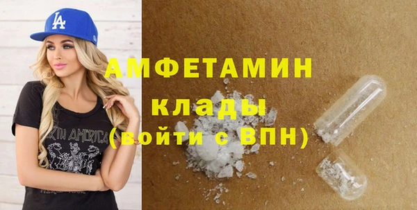 крисы Бронницы