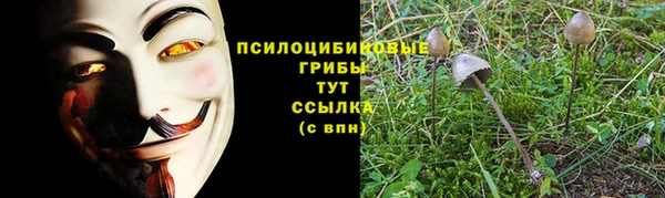 СК Бородино