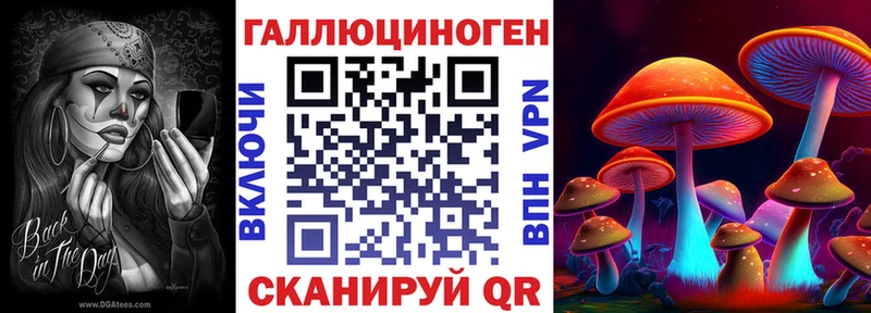 где продают   нарко площадка какой сайт  Псилоцибиновые грибы мицелий  Новосокольники 